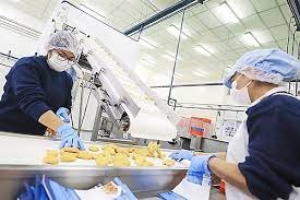 Norte Grande: el empleo privado formal creció 5,1%