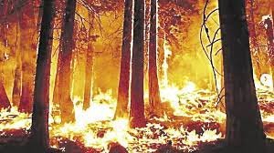 Los incendios en Corrientes no dan tregua: ya se quemaron más de 100 mil hectáreas en el 2023