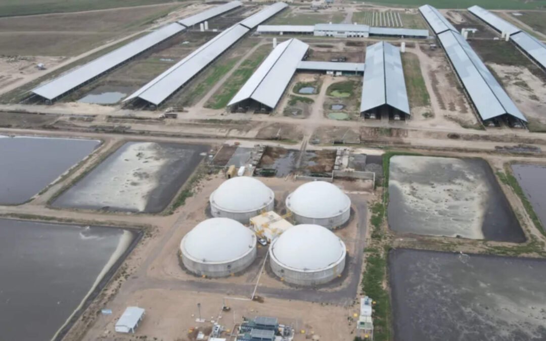 Cripto y agro: Tether invierte USD 600 millones en Argentina y se queda con Adecoagro