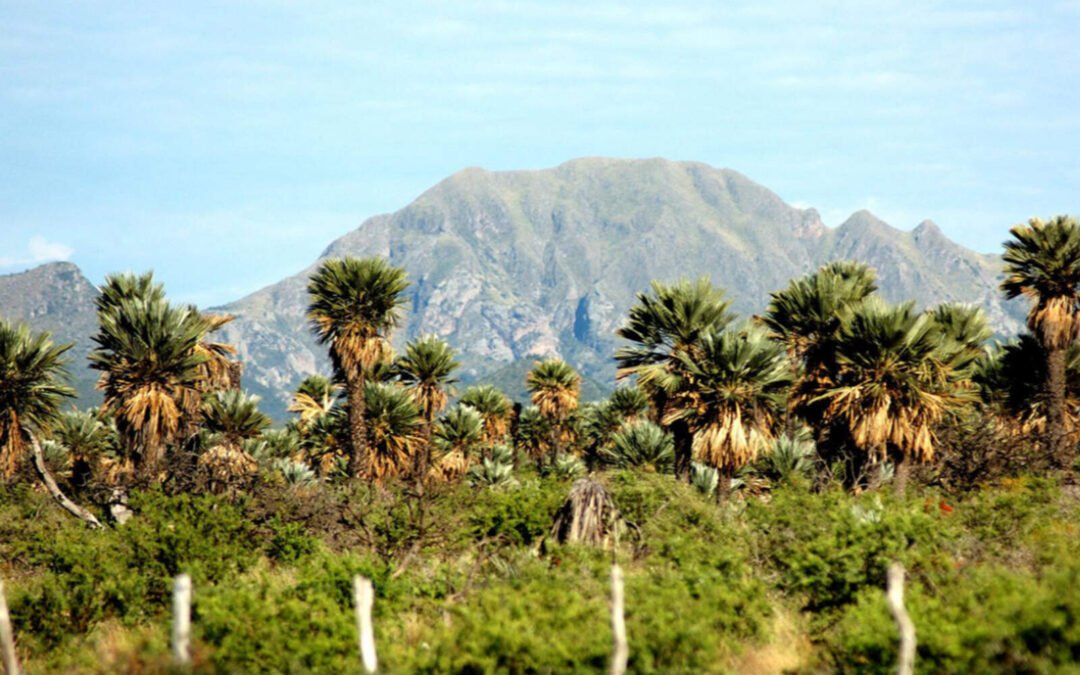 Tres reservas naturales en Córdoba para disfrutar en Semana Santa