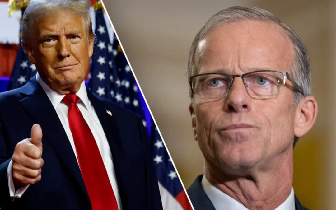 Trump busca que haya unidad republicana para aprobar su plan económico