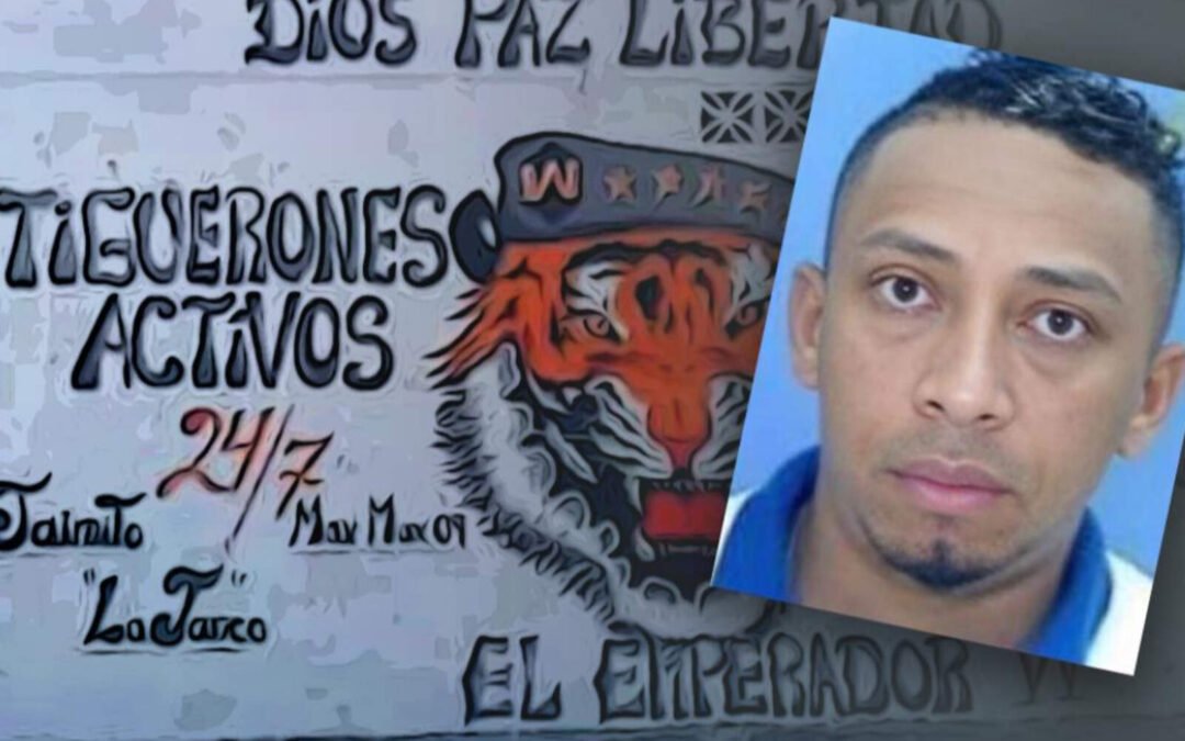 La Audiencia Nacional evaluó la extradición de un líder de Los Tiguerones
