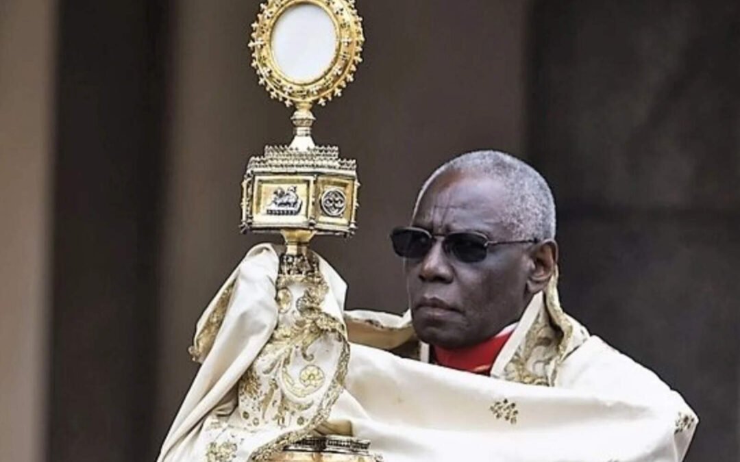 Las acertadas declaraciones de Robert Sarah, quien podría ser el ‘primer papa negro’