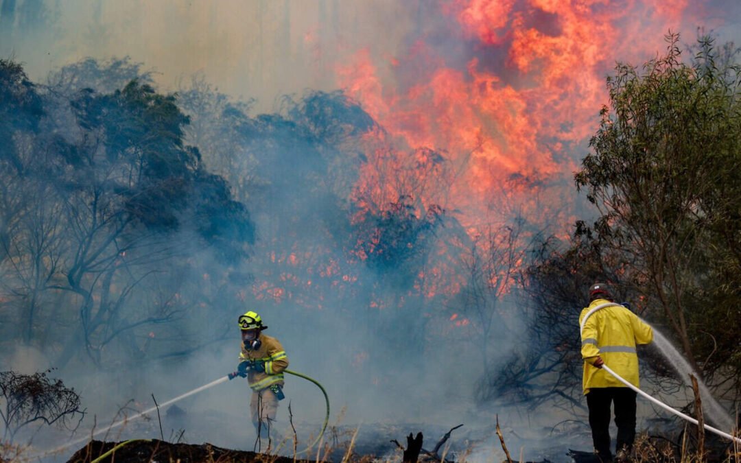 Una serie de impresionantes incendios forestales azotan a Israel
