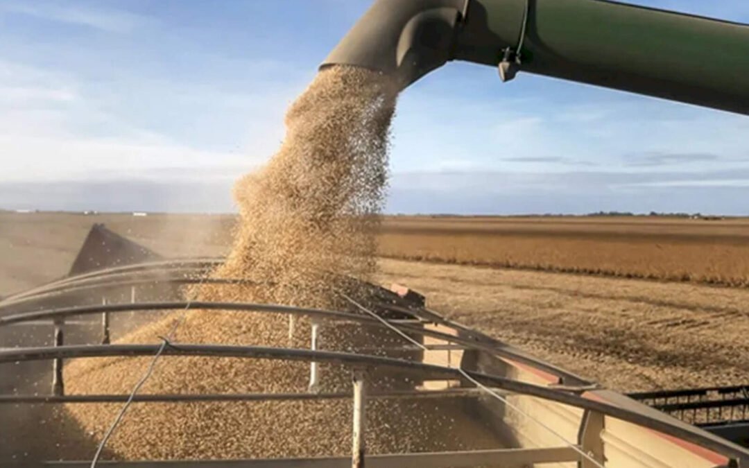 El campo liquidó más de USD 2.500 millones en abril, un 32% más que en 2024