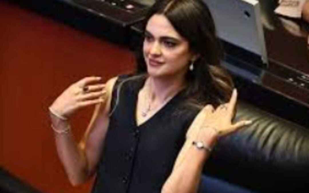 Andrea Chávez: una senadora sin resultados pero con muy cara