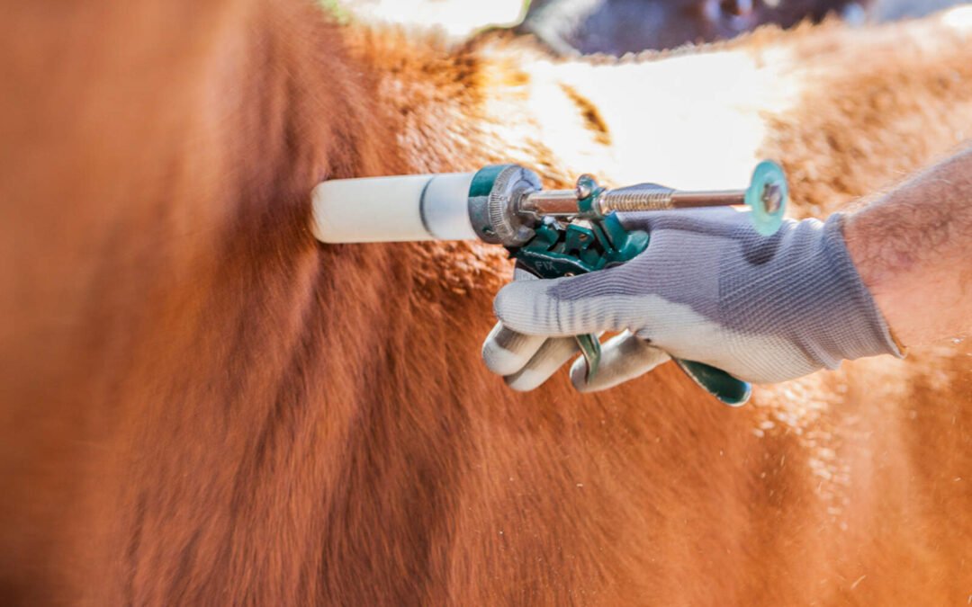 El Gobierno libera el mercado de vacunas veterinarias y apunta a la competencia