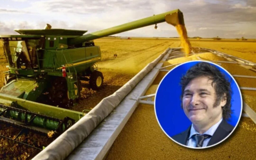 Argentina tendrá la segunda cosecha más alta de la historia