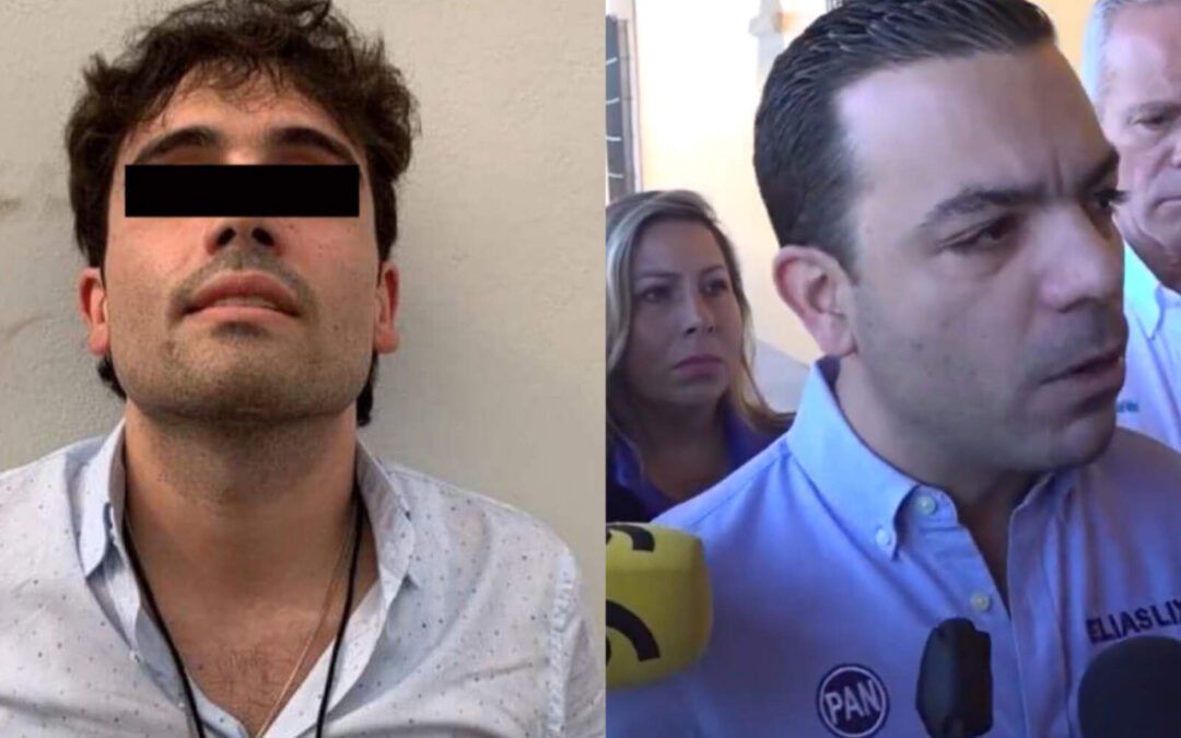 El PAN advierte: confesiones de “Los Chapitos” podrían hundir a Morena