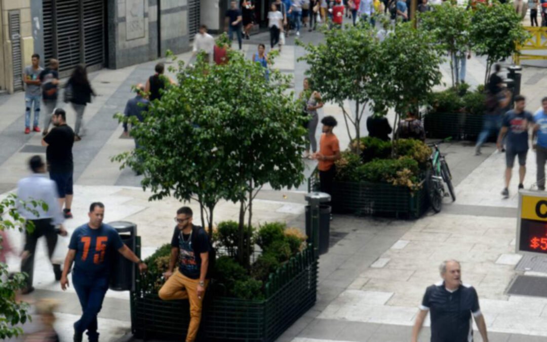 Tras la salida del cepo, los ‘arbolitos’ se ven perjudicados por la estabilidad