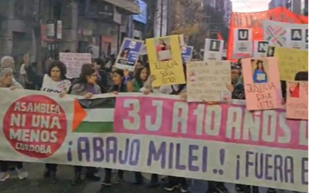 #NiUnaMenos en Córdoba: feministas levantaron la bandera de Hamas, verdugo de mujeres