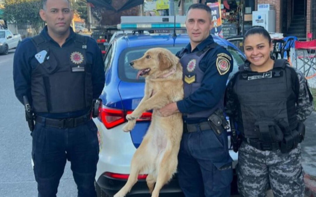 Córdoba: policía heroico rescató a Golden robada a trabajador