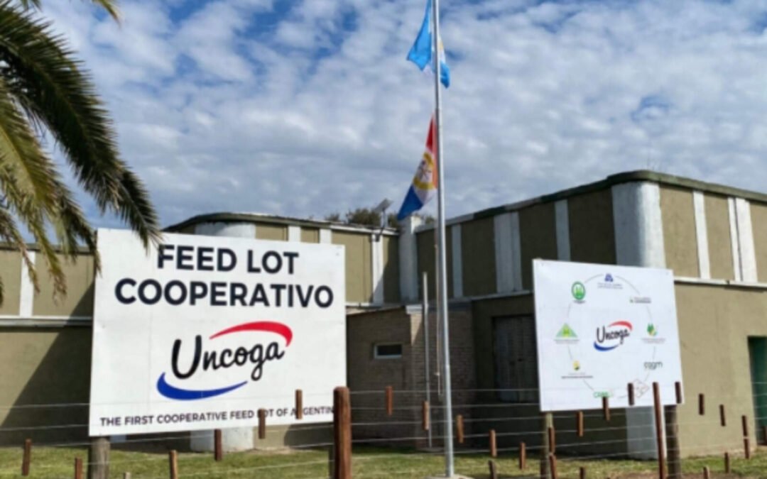 Inauguran el primer feedlot cooperativo del país en Córdoba