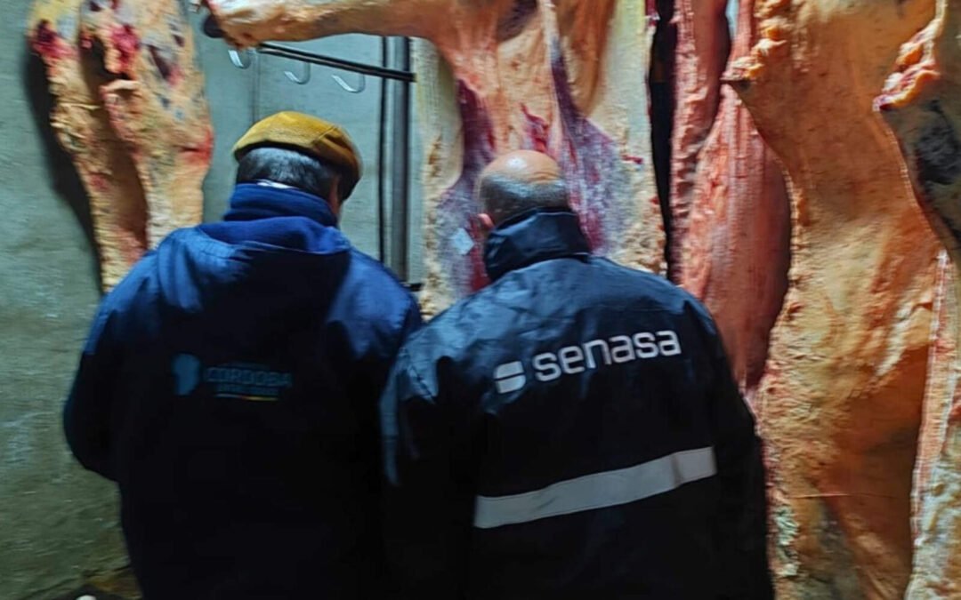 Córdoba: clausuran establecimientos por faenamiento de hacienda clandestino