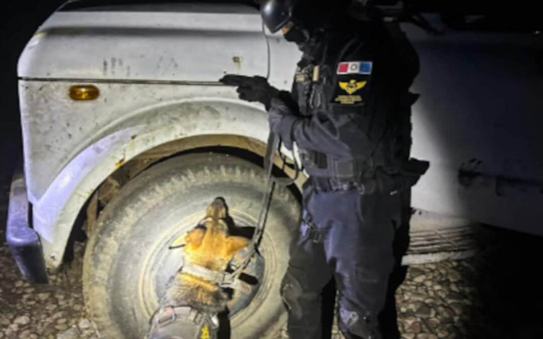 Villa Dolores: cayó un narcomenudista que usaba una gomería como pantalla