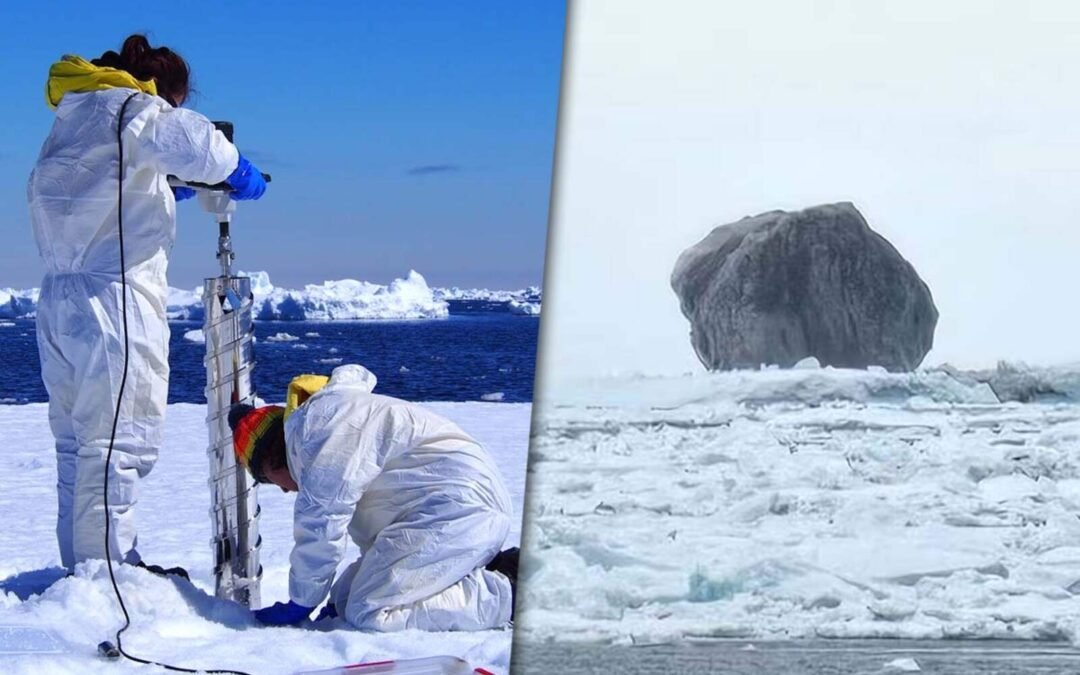 Captan un iceberg negro en Canadá: qué dicen los expertos sobre su color