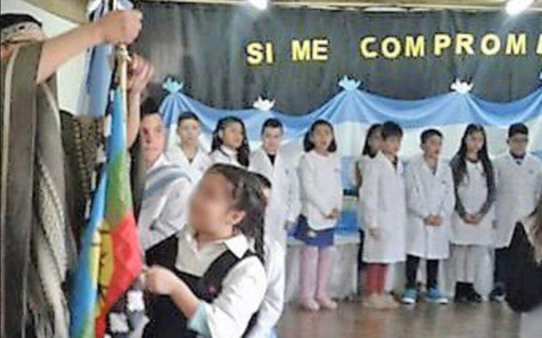 Luz Ricardes cuestiona la presencia de la bandera mapuche en actos patrios