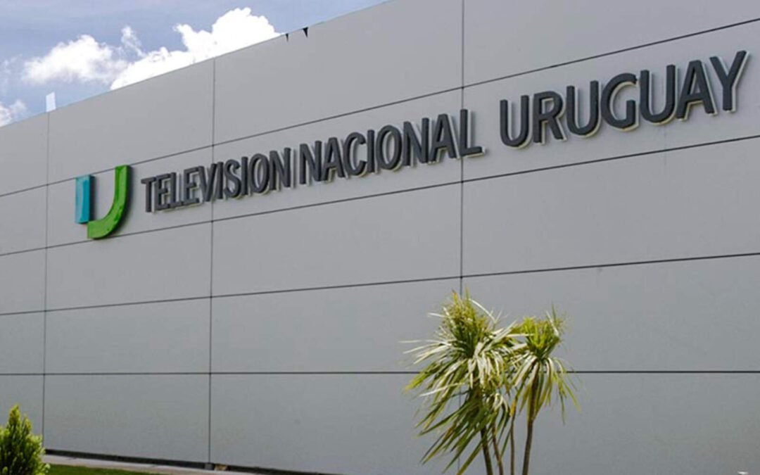 El Canal 5 está al servicio de la izquierda cultural