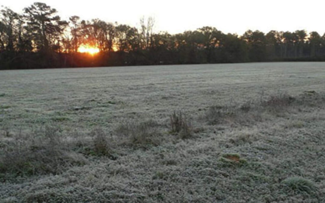 Clima en Córdoba: heladas y hasta -8 º C en algunos sectores del interior