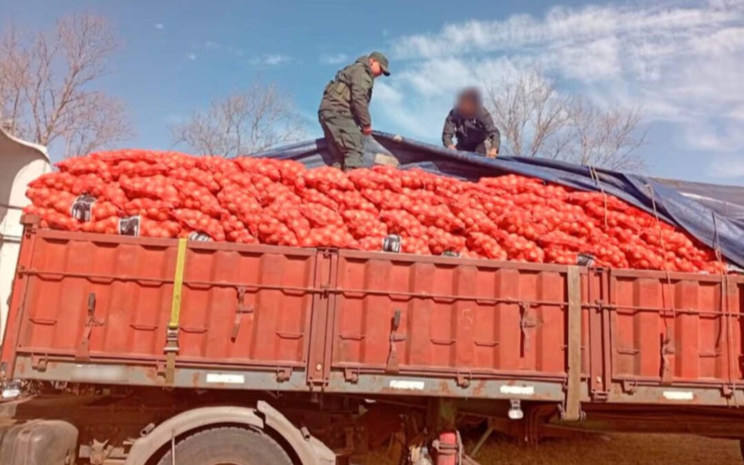 Córdoba: intentó sobornar a Gendarmería; llevaba 32 toneladas de cebolla sin papeles