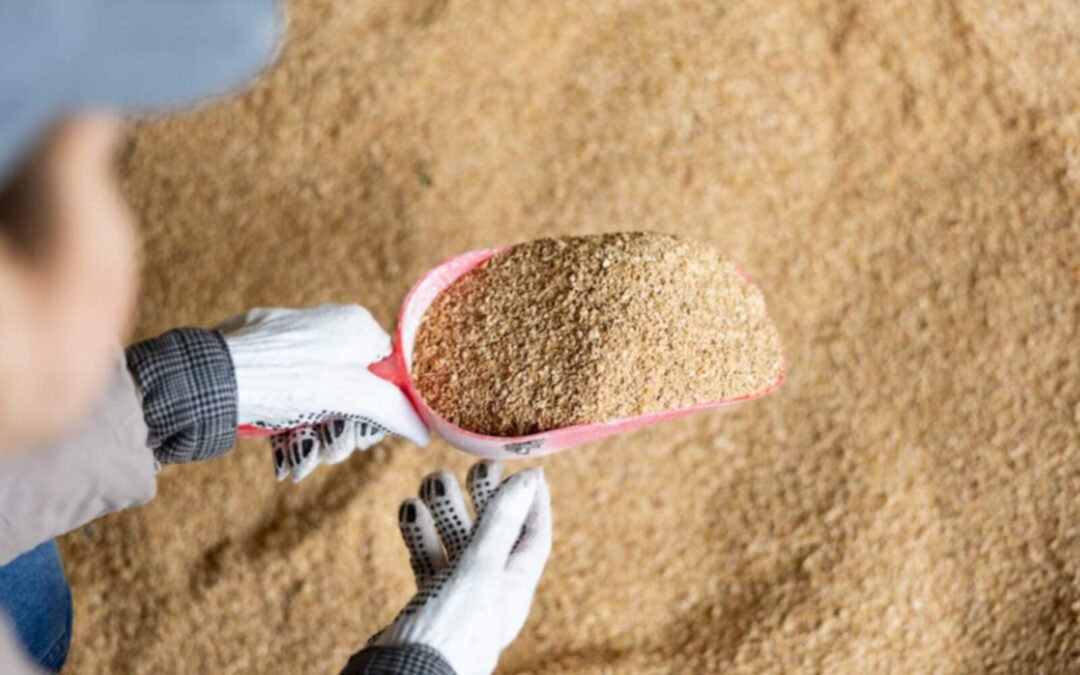 Hito comercial: China habilitó la importación de harina de soja argentina