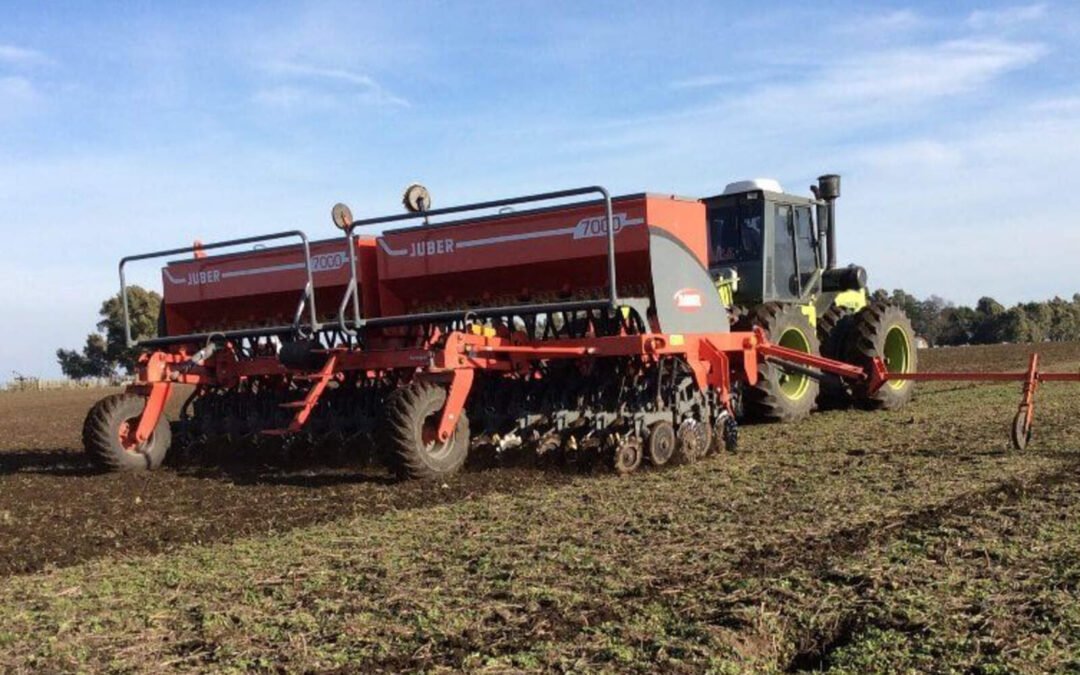 Baja de retenciones: Córdoba espera una campaña de trigo récord