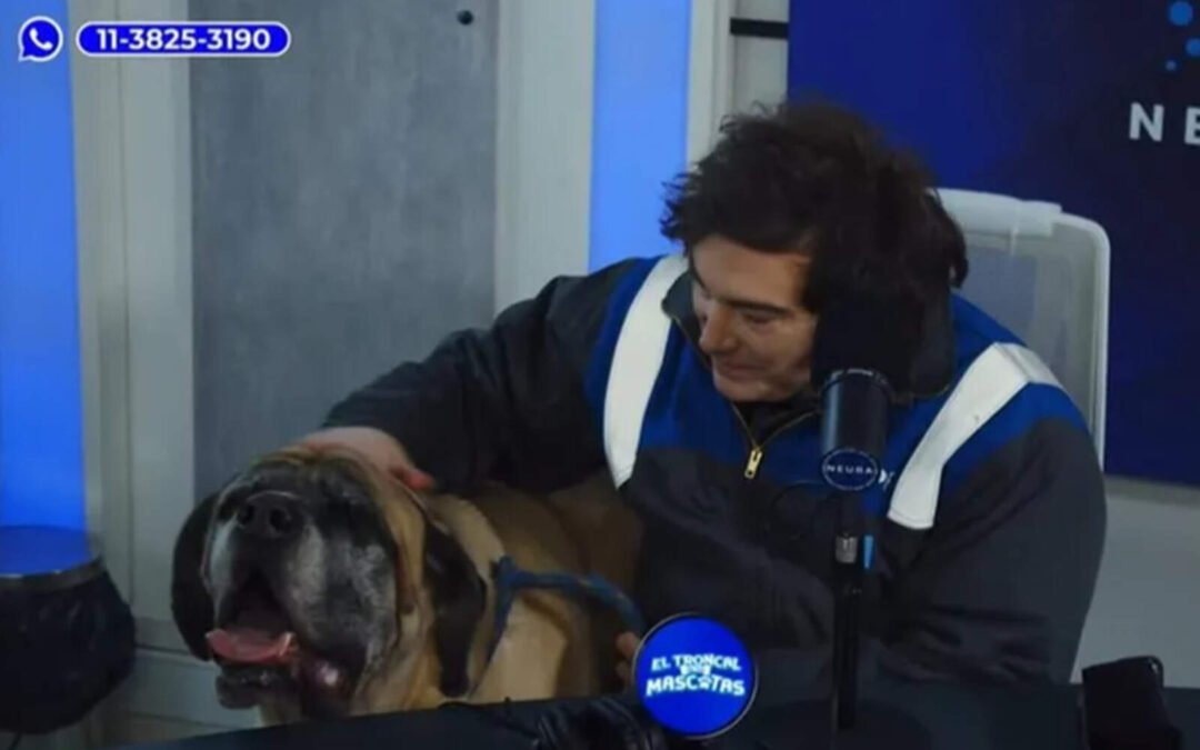 Milei fue a lo de Tronco con su perro Conan y anunció que donará un millón de pesos