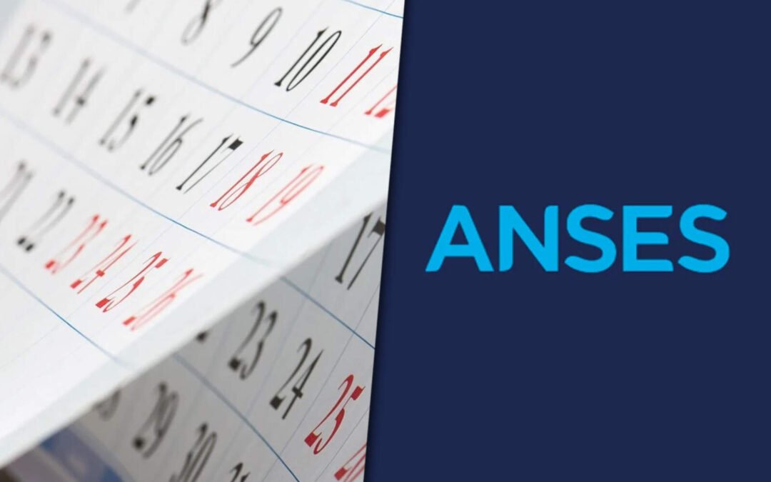 anses-cuando-cobro:-quienes-reciben-pagos-este-lunes-30-de-junio