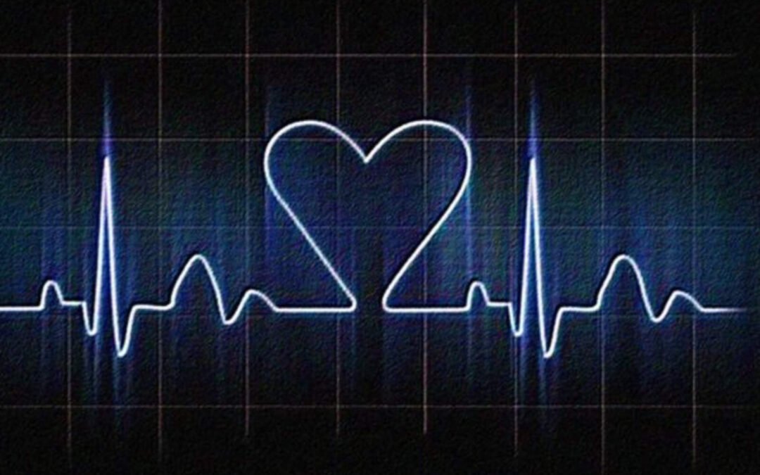 Los abortos cayeron un 63% en Carolina del Sur por la Ley del Latido del Corazón