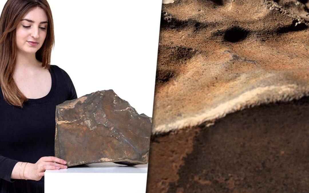 Una roca marciana que cayó en el Sahara será vendida por millones