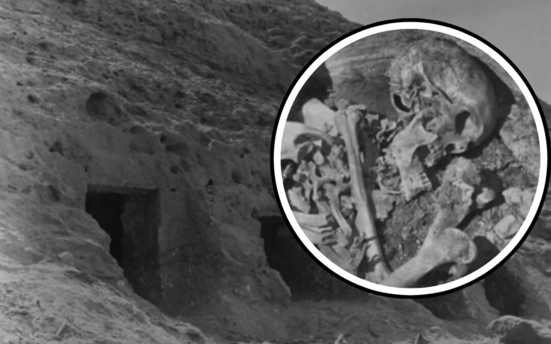 Secuencian por primera vez un genoma completo del Antiguo Egipto