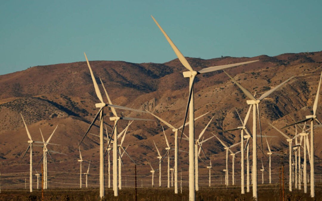 Trump firmó un decreto para terminar con los subsidios a las energías solar y eólica
