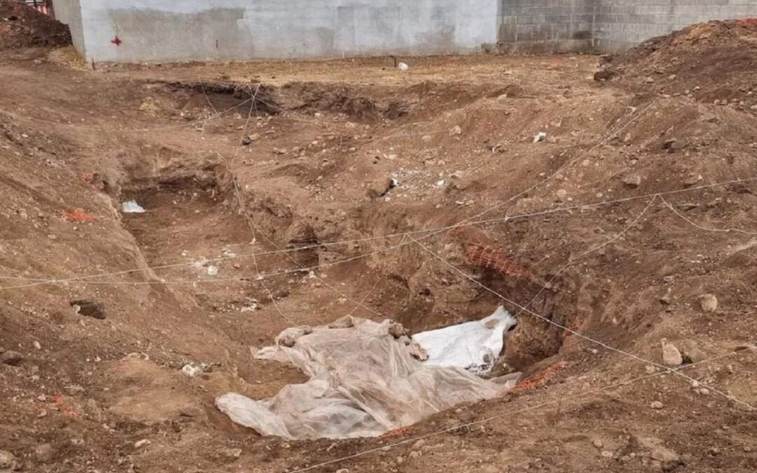 Descubren una fosa común con cadáveres en el barrio Campo de la Ribera, Córdoba