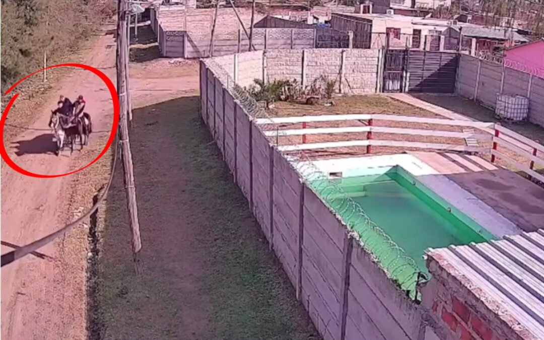 Florencio Varela: iban a caballo, robaron una cabra y gatillaron contra un policía