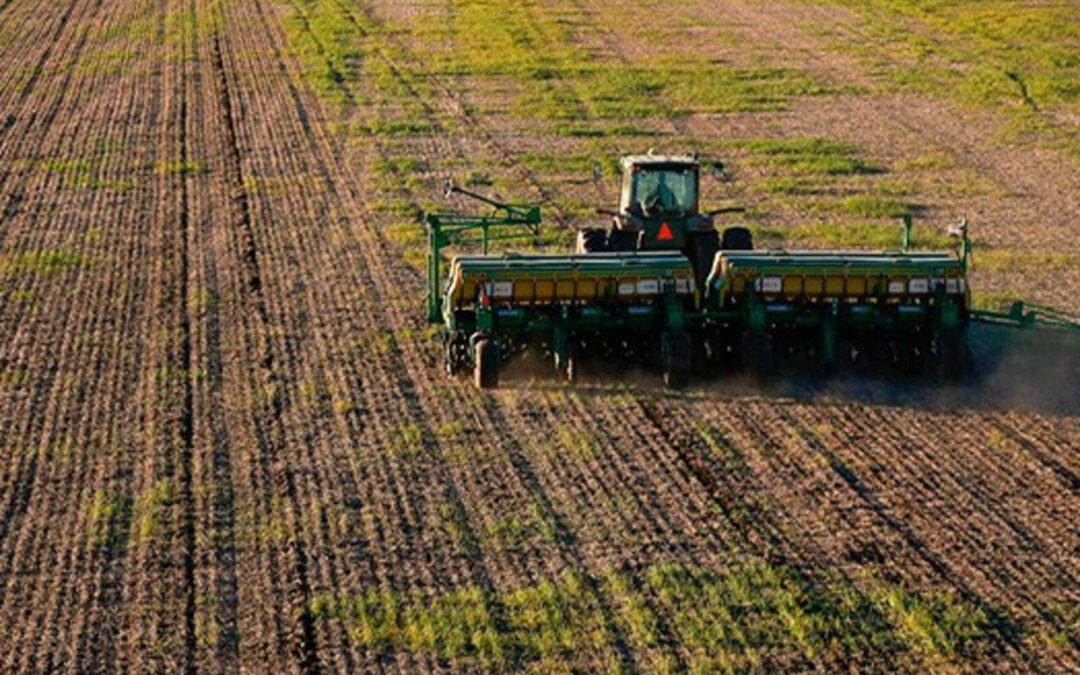 Inusuales registros de lluvias alientan la siembra de trigo en Córdoba