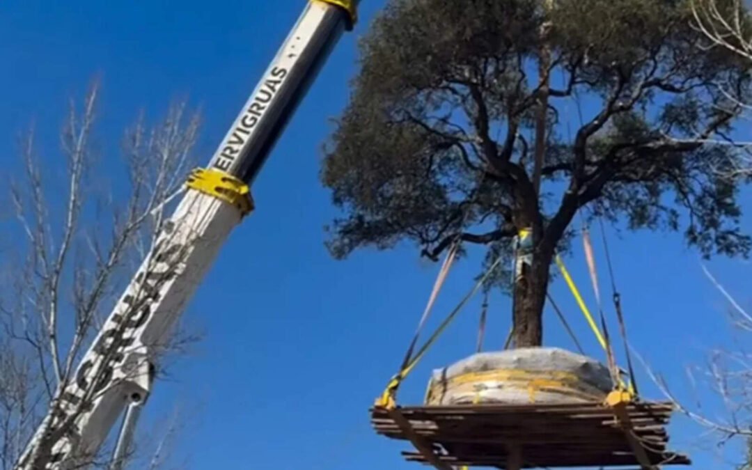Zurdo ambientalista, enojado con la remoción del quebracho, ahora se une al peronismo