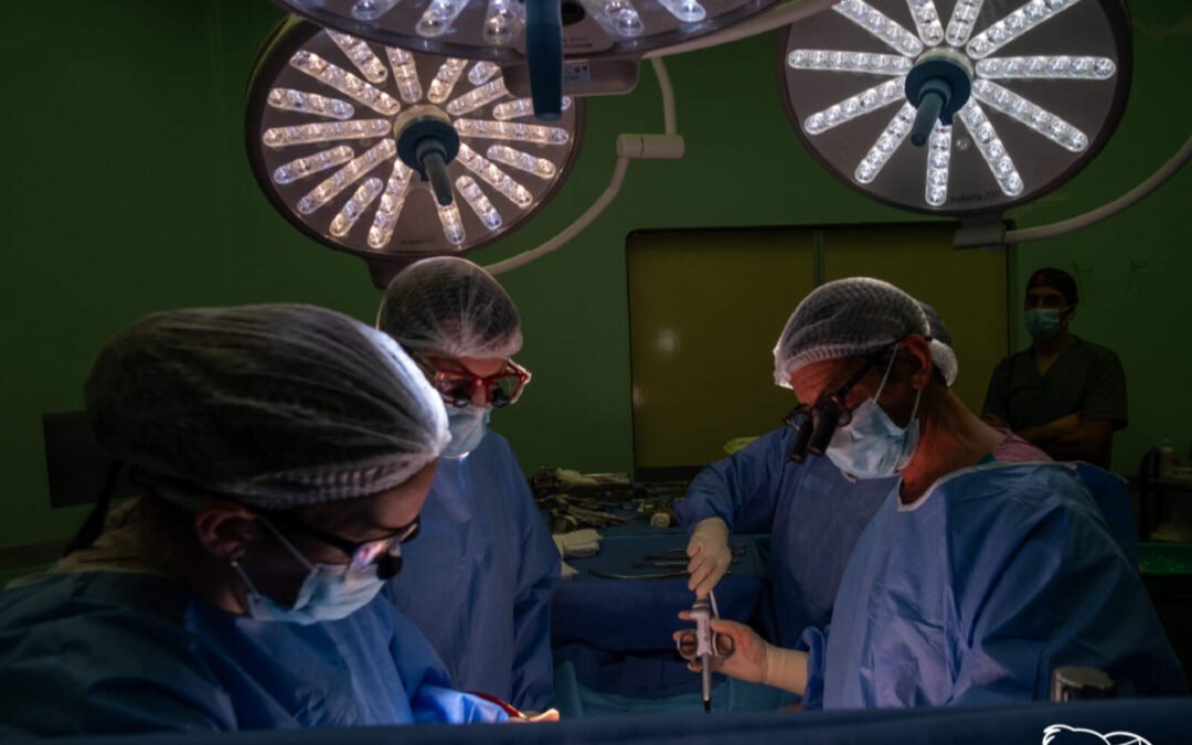 Kirchneristas asedian el Hospital Garrahan y ponen en peligro la vida de los niños