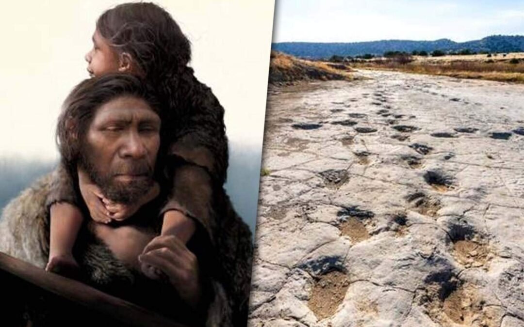 Arqueólogos descubren que los bebés neandertales también participaban de la caza