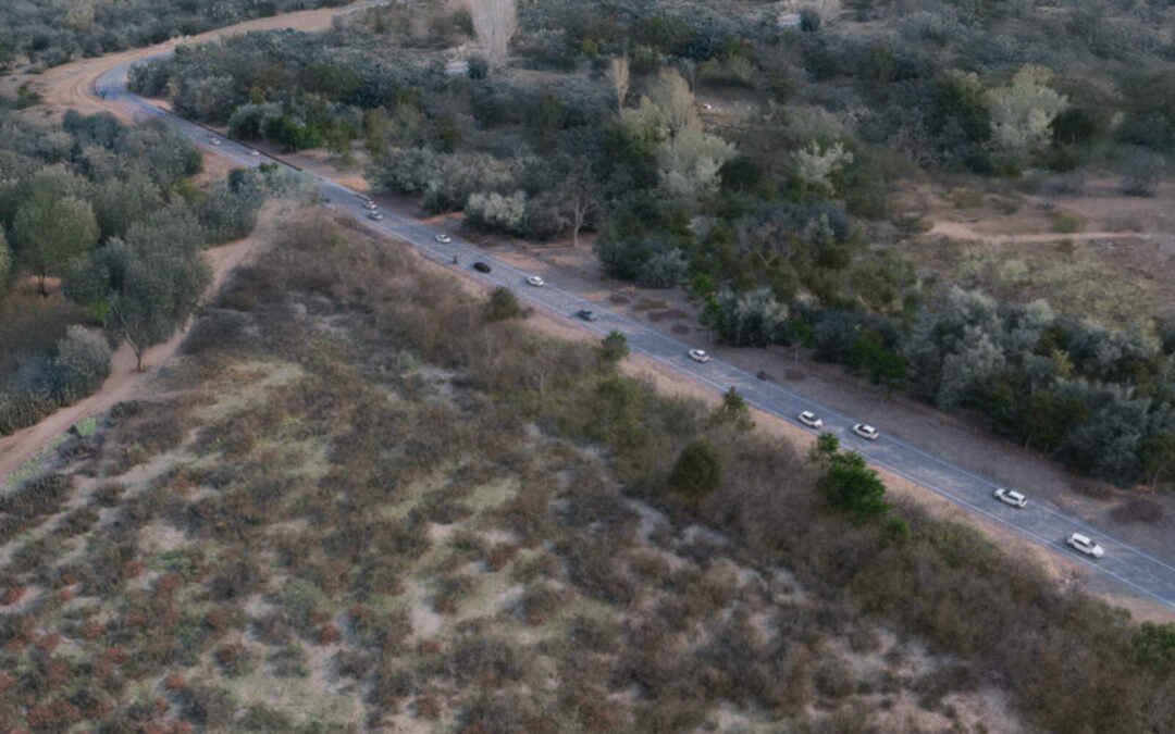 Córdoba: tras el quebracho, ahora los ambientalistas lloran por una ruta