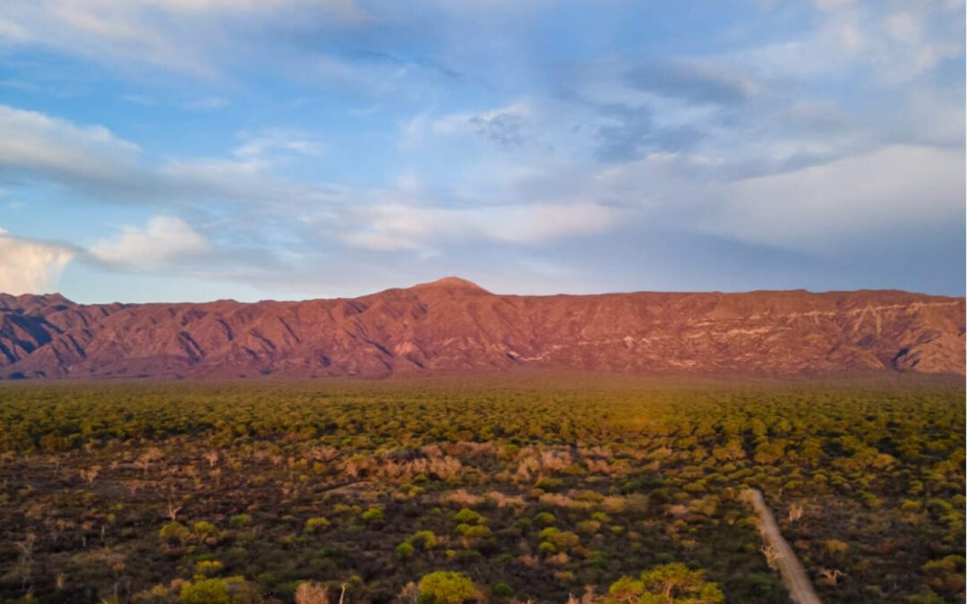 Reserva Chancaní: el destino ideal para ecoturismo en Córdoba