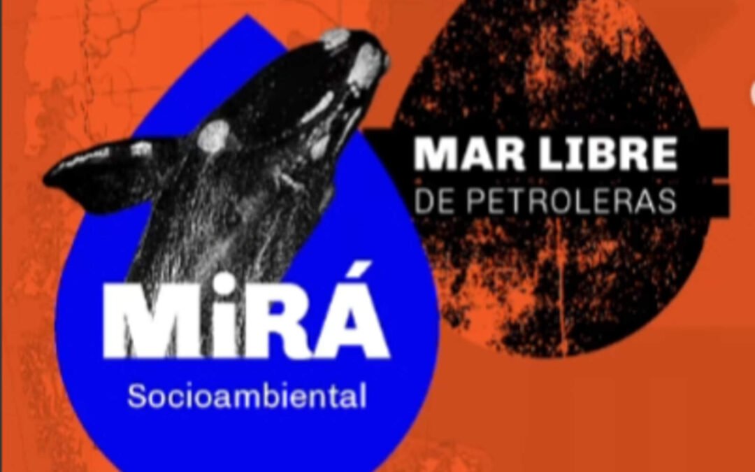 Talud Continental IV: Una ONG reveló que el motivo es frenar el petróleo offshore