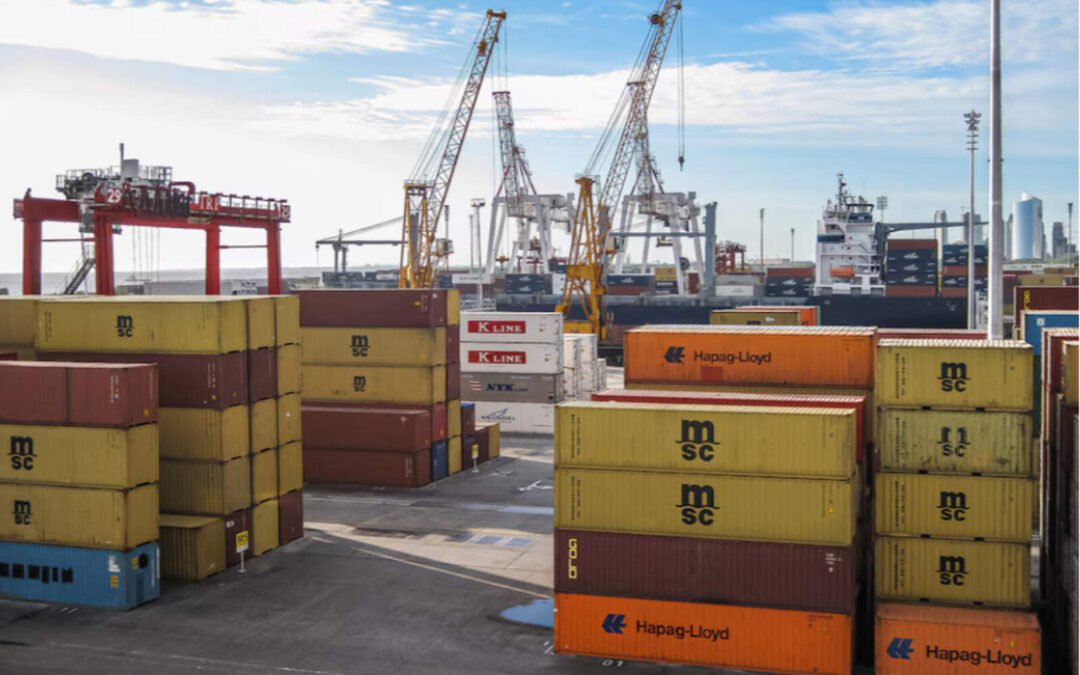 El Gobierno simplificó la importación de alimentos e insumos industriales