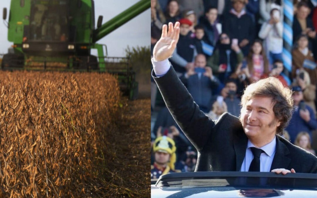 Milei cumple: bajan las retenciones desde el 1° de agosto y el campo cordobés celebra