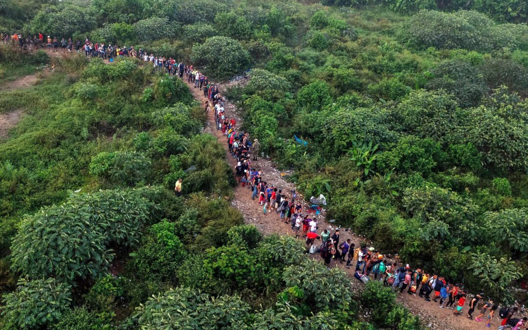 Con Trump en la Casa Blanca, el tráfico migratorio por el Darién es inexistente