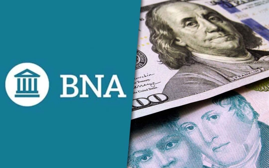 Banco Nación pagará intereses en dólares: cuánto rinde y cómo acceder