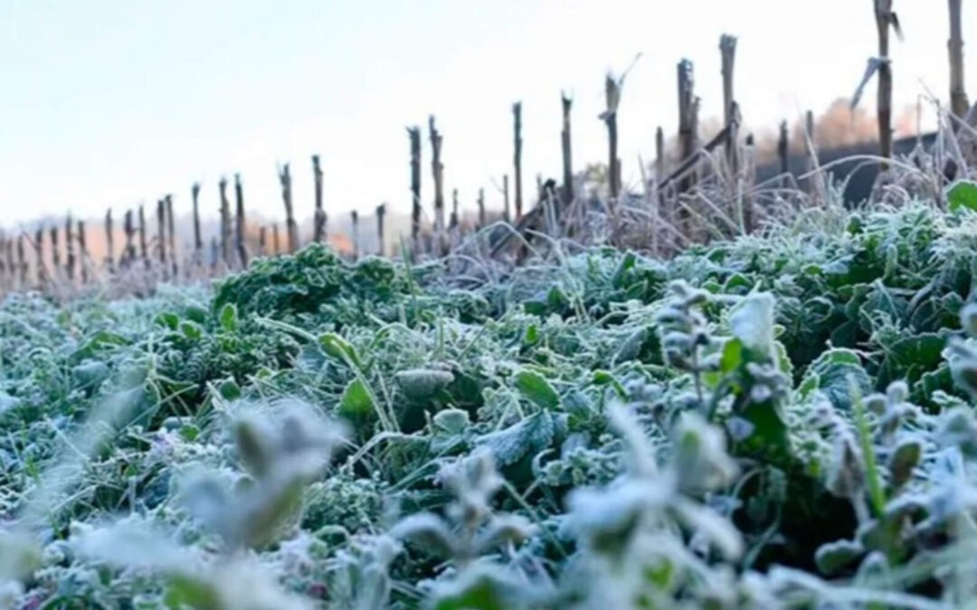 Otra mañana helada en Córdoba: los lugares que amanecieron con más frío