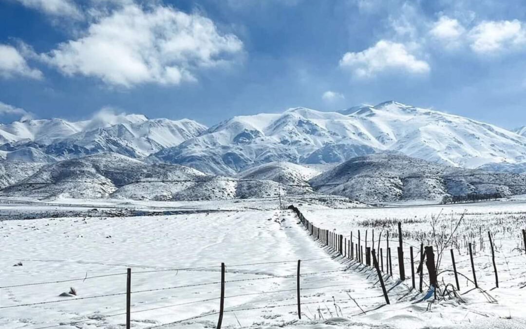 Ola polar: de Miramar a Salta todos los lugares en los que nevó en Argentina