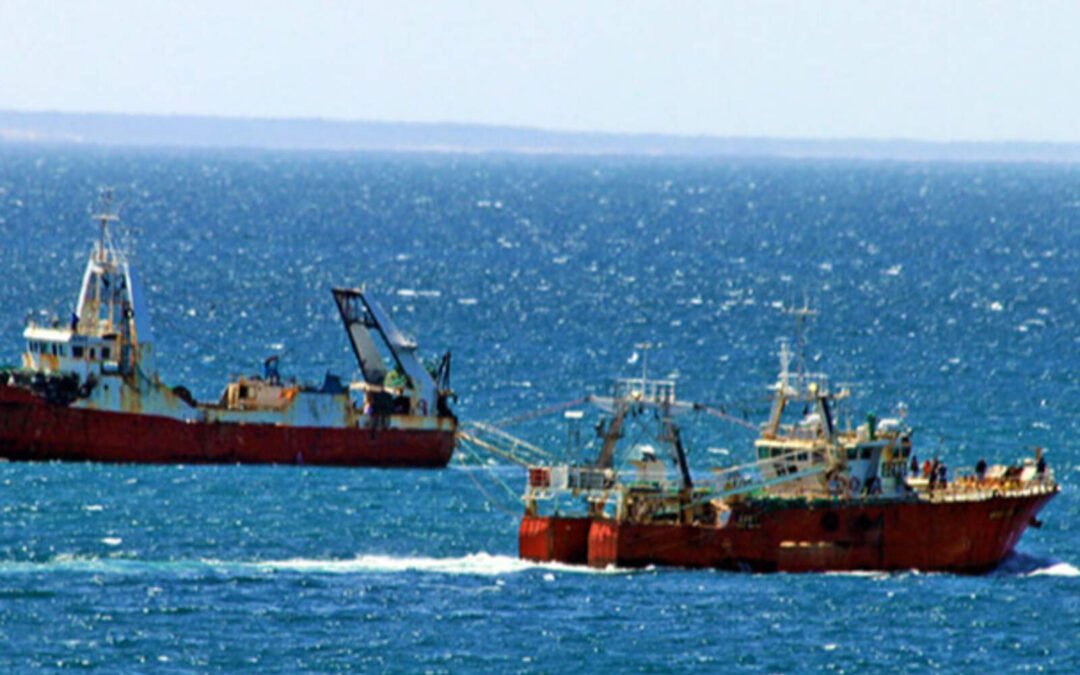 El Gobierno deroga normas de hasta 60 años para liberar el mercado ganadero y pesquero