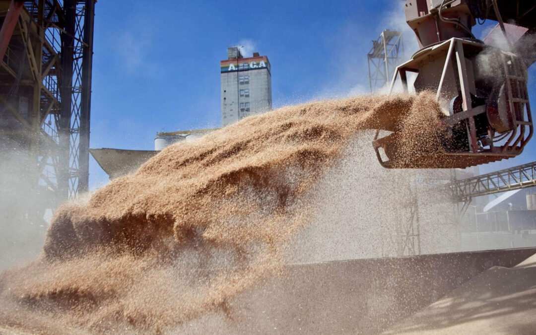 Récord en el agro: Córdoba y el país liquidaron U$S 4.100 millones en julio 2025