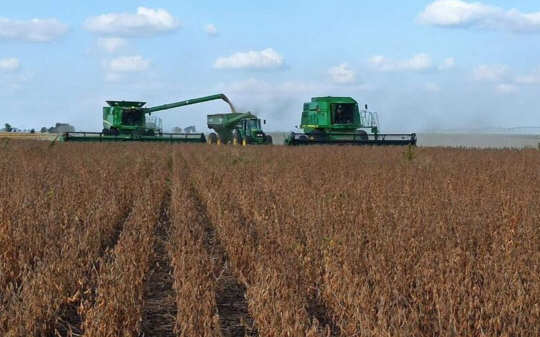 Suben los alquileres agrícolas en Córdoba y se amplían las diferencias por zona